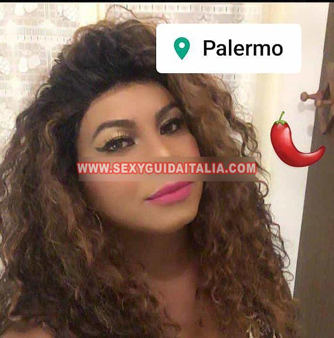 Trans vanessa puledra unica