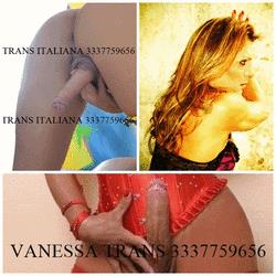 Trans vanessa dolce