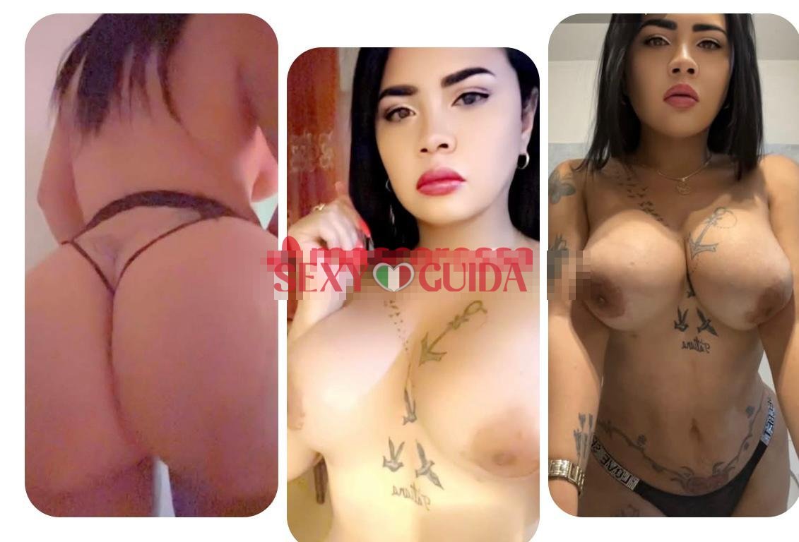 Trans activa  pasiva latina