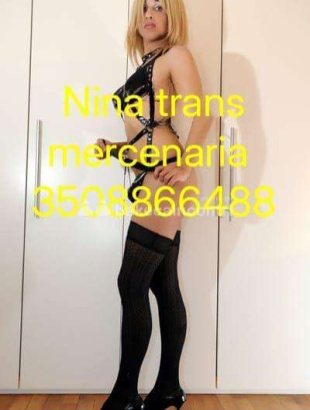Ladyboy bollente vuole trasportarti in un altro m