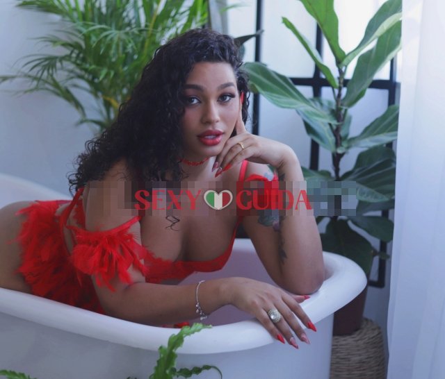 Sophia brasil